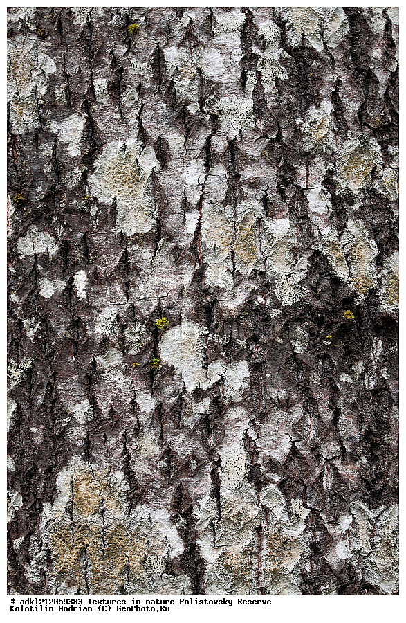  �������, ��������, ������������ ����������, ��������, ���� ��������