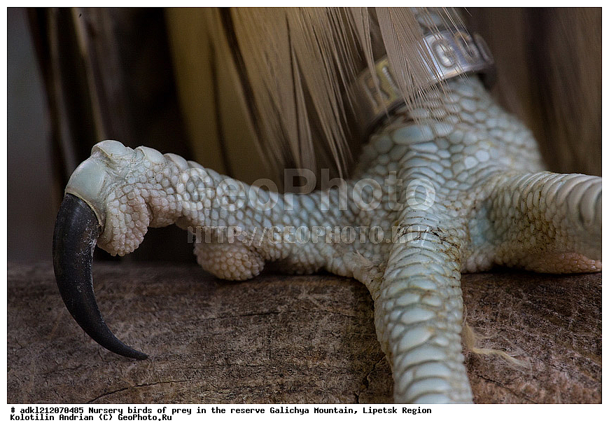  ��������, ������ �����, ����������, ������� ����, �������� �������, ��������� �����, � ������,