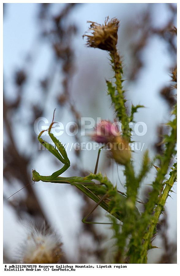 ��������, ��������, ���������, ���������, ����������, ������� ����, �������� �������, ��������, �������, ���������, �����, ���, ��������, ��������������, �������������, ��������������