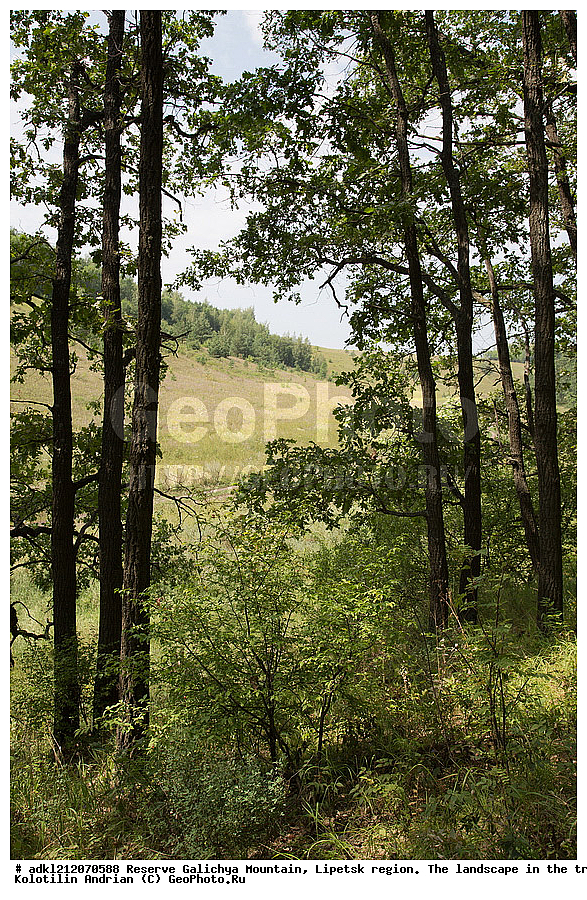 ����������, ������� ����, �������� �������, �������� �������, ���������, �����, ���, ��������, �������
