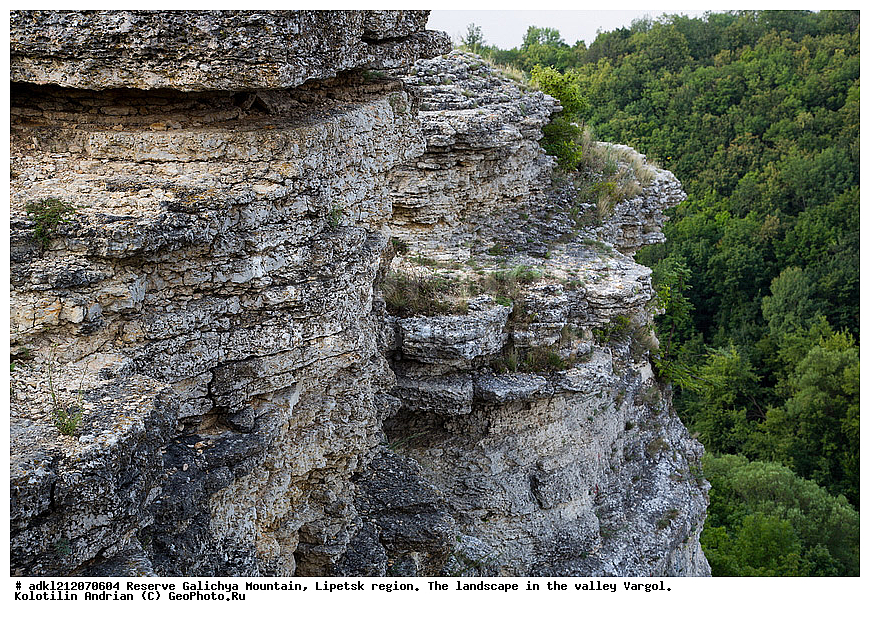  ����������, ������� ����, �������� �������, �������� �������, ������, ���������, �����
, ������