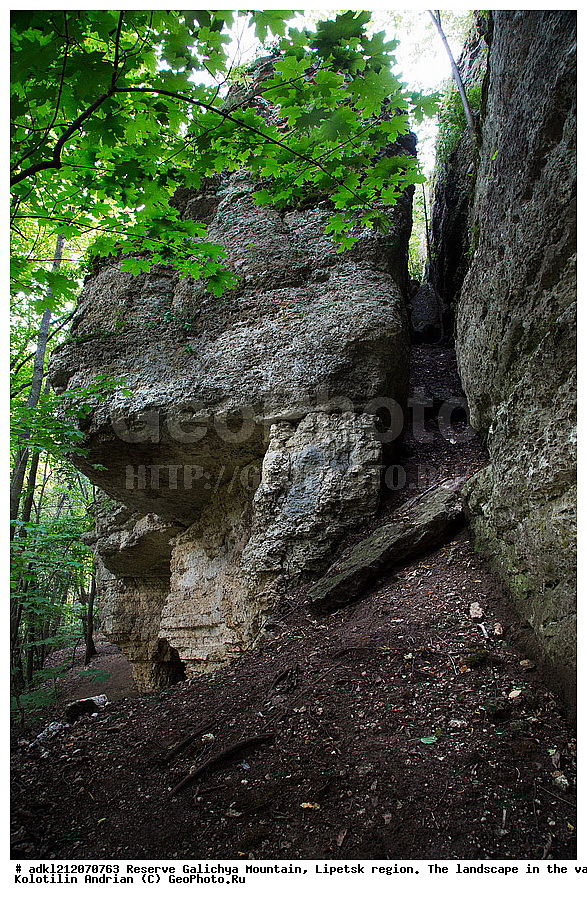  ����������, ������� ����, �������� �������, �������� �������, ������, ���������, �����
, ������