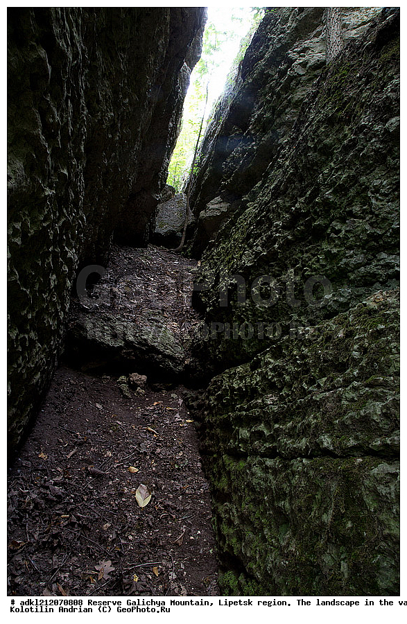  ����������, ������� ����, �������� �������, �������� �������, ������, ���������, �����
, ������