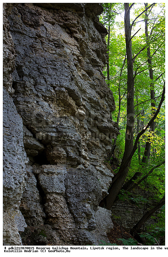  ����������, ������� ����, �������� �������, �������� �������, ������, ���������, �����
, ������