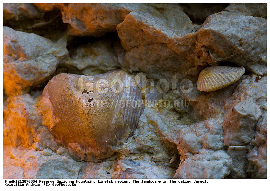  ����������, ������� ����, �������� �������, �������� �������, ������, ���������, �����
, ���������� ���������, �������, ������� ����, �������������, ������������������ �������, ��������, ������