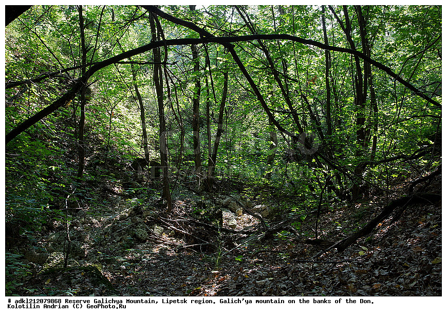 ����������, ������� ����, �������� �������, �������� �������, ���������, �����, ���, ��������
