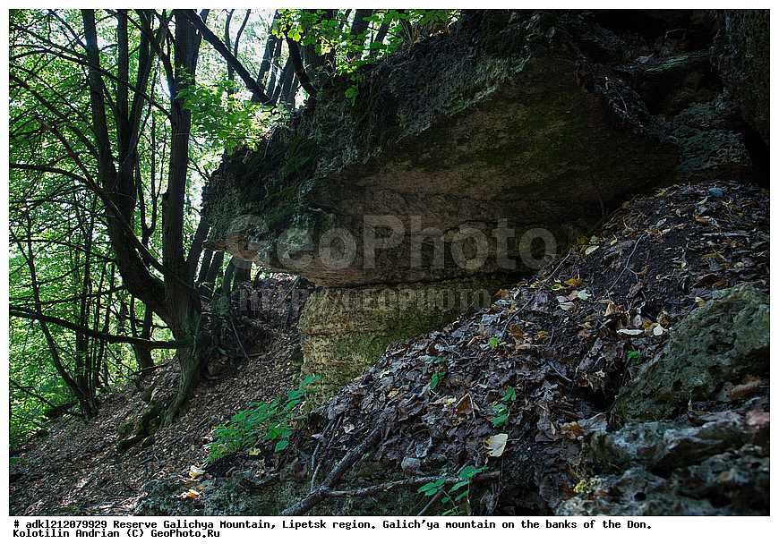 ����������, ������� ����, �������� �������, �������� �������, ���������, �����, ���, ��������
