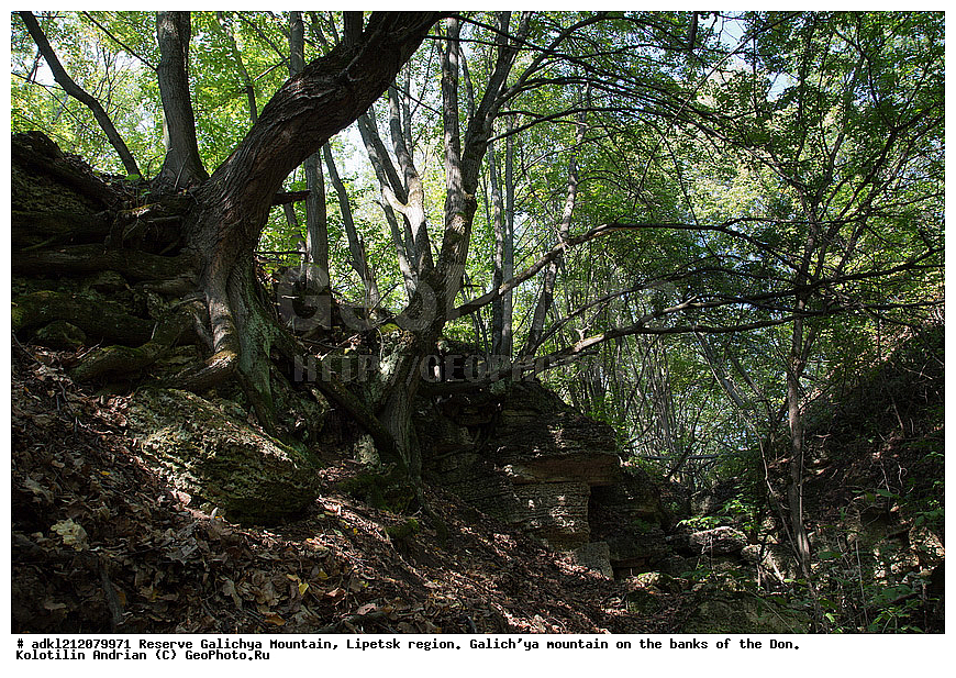 ����������, ������� ����, �������� �������, �������� �������, ���������, �����, ���, ��������
