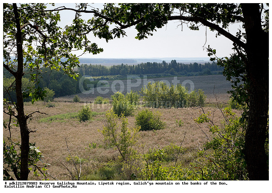 ����������, ������� ����, �������� �������, �������� �������, ���������, �����, ���, ��������
