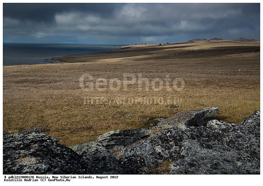  ������, �������������, �������, ������, 2012, ��������, ���������, �������, ��������, ��������, ����������, �����, ���, ������� �������������� ��������, ����������, ��������, �����, �����, ���������, ��������-��������� ����, ��������� �������, ��������, ������� ���������, ������, ������ ������, ������, ��������� �����, �������, ������, �������, ������� �������