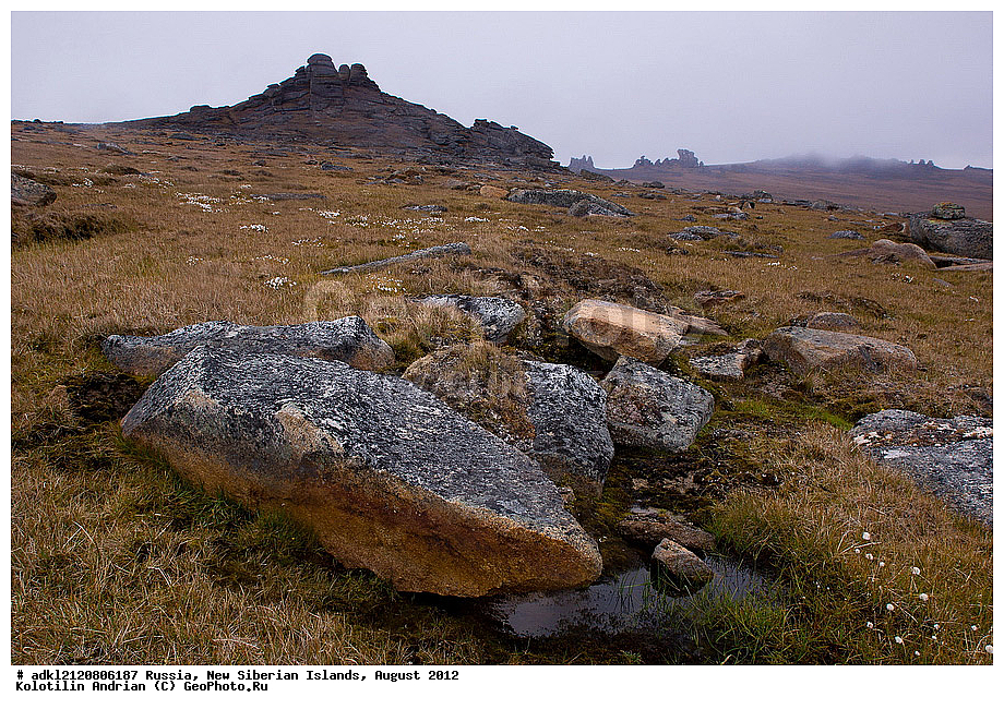  ������, �������������, �������, ������, 2012, ��������, ���������, �������, ��������, ��������, ����������, �����, ���, ������� �������������� ��������, ����������, ��������, �����, �����, ���������, ��������-��������� ����, ��������� �������, ��������, ������� ���������, ������, ������ ������, ������, ��������� �����, �������, ������, �������, ������� �������