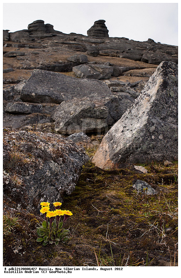 ������, �������������, �������, ������, 2012, ��������, ���������, �������, ��������, ��������, ����������, �����, ���, ������� �������������� ��������, ����������, ��������, �����, �����, ���������, ��������-��������� ����, ��������� �������, ��������, �����, ����������� �����, ������, ��������� �����, �������, ������, �������, ������� �������