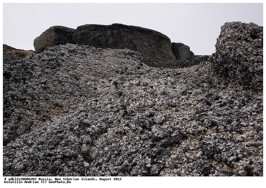  ������, �������������, �������, ������, 2012, ��������, ���������, �������, ��������, ��������, ����������, �����, ���, ������� �������������� ��������, ����������, ��������, �����, �����, ���������, ��������-��������� ����, ��������� �������, ��������, ������� ���������, ������, ������ ������, ������, ��������� �����, �������, ������, �������, ������� �������