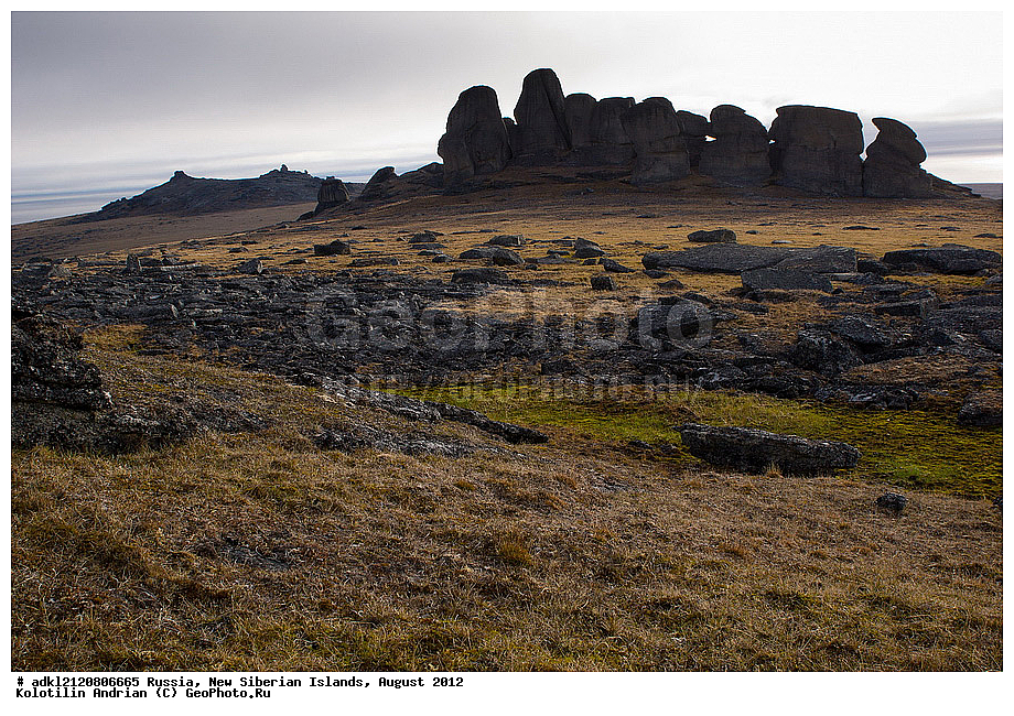  ������, �������������, �������, ������, 2012, ��������, ���������, �������, ��������, ��������, ����������, �����, ���, ������� �������������� ��������, ����������, ��������, �����, �����, ���������, ��������-��������� ����, ��������� �������, ��������, ������� ���������, ������, ������ ������, ������, ��������� �����, �������, ������, �������, ������� �������