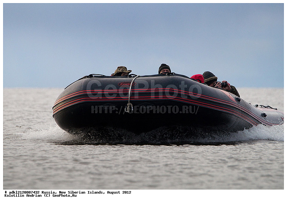 ������, �������������, �������, ������, 2012, ��������, ���������, �������, ��������, ��������, ����������, �����, ���, ������� �������������� ��������
, ������, ��������� �����, �������, ������, �������, ������� �������