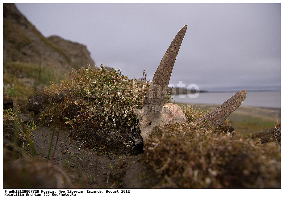  ������, �������������, �������, ������, 2012, ��������, ���������, �������, ��������, ��������, ����������, �����, ���, ������� �������������� ��������, ������, �����, ������, ���������� �����, �������������, ������������������ �������, ������, ��������� �����, �������, ������, �������, ������� �������