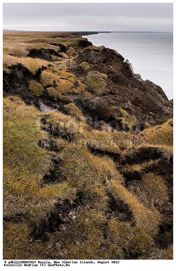 ������, �������������, �������, ������, 2012, ��������, ���������, �������, ��������, ��������, ����������, �����, ���, ������� �������������� ��������, ����������, ��������, �����, �����, ���������, ��������-��������� ����, ��������� �������, ��������, ������, ������ ��������, ������, ��������� �����, �������, ������, �������, ������� �������