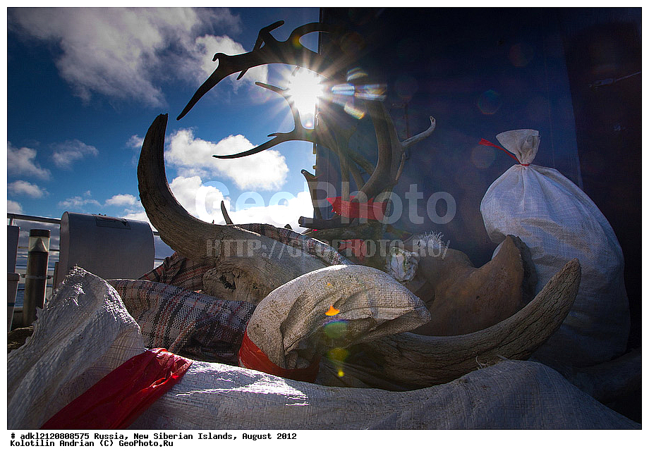 ������, �������������, �������, ������, 2012, ��������, ���������, �������, ��������, ��������, ����������, �����, ���, ������� �������������� ��������, ��������� �����, ������
, ������, ��������� �����, �������, ������, �������, ������� �������