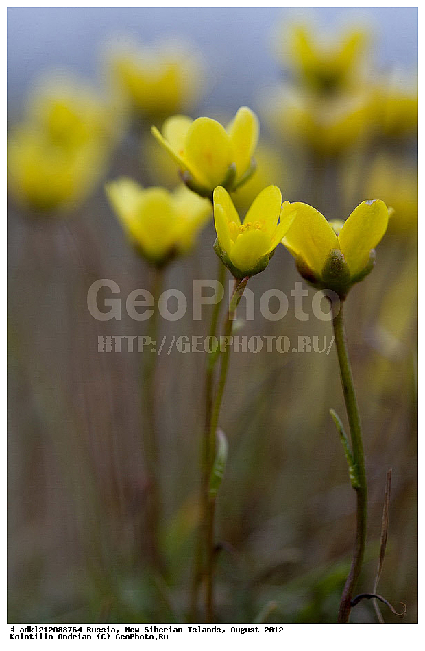 ������, �������������, �������, ������, 2012, ��������, ���������, �������, ��������, ��������, ����������, �����, ���, ������� �������������� ��������, ����������, ��������, �����, �����, ���������, ��������-��������� ����, ��������� �������, ��������, �����, ����������� �����, ������, ��������� �����, �������, ������, �������, ������� �������