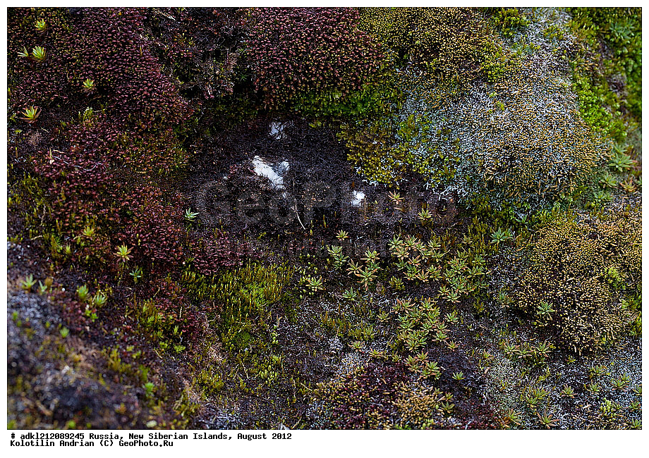 ������, �������������, �������, ������, 2012, ��������, ���������, �������, ��������, ��������, ����������, �����, ���, ������� �������������� ��������, ����������, ��������, �����, �����, ���������, ��������-��������� ����, ��������� �������, ��������, �����, ����������� �����, ������, ��������� �����, �������, ������, �������, ������� �������