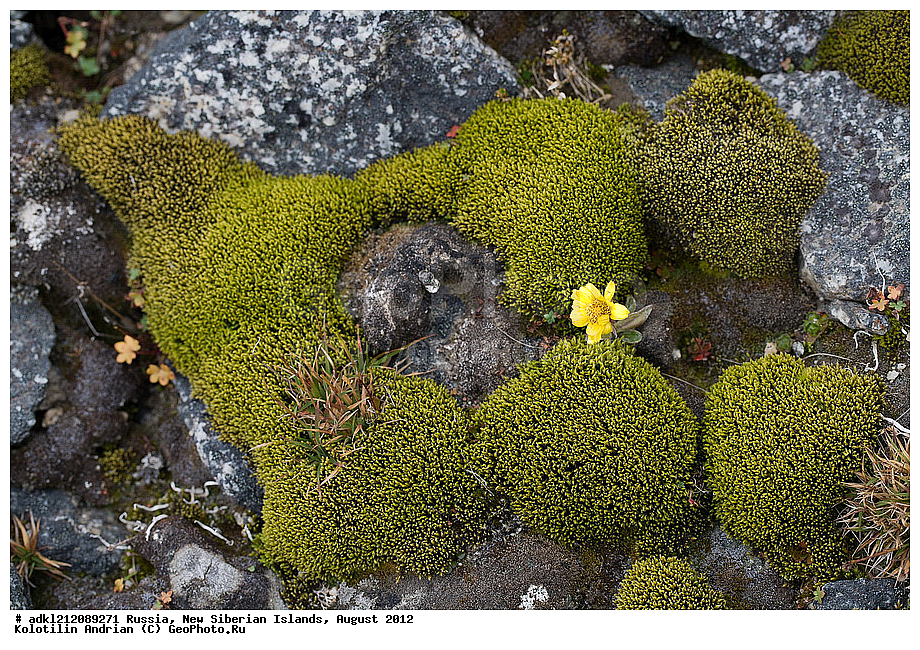 ������, �������������, �������, ������, 2012, ��������, ���������, �������, ��������, ��������, ����������, �����, ���, ������� �������������� ��������, ����������, ��������, �����, �����, ���������, ��������-��������� ����, ��������� �������, ��������, �����, ����������� �����, ������, ��������� �����, �������, ������, �������, ������� �������