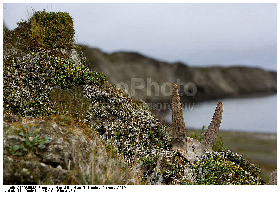  ������, �������������, �������, ������, 2012, ��������, ���������, �������, ��������, ��������, ����������, �����, ���, ������� �������������� ��������, ������, �����, ������, ���������� �����, �������������, ������������������ �������, ������, ��������� �����, �������, ������, �������, ������� �������