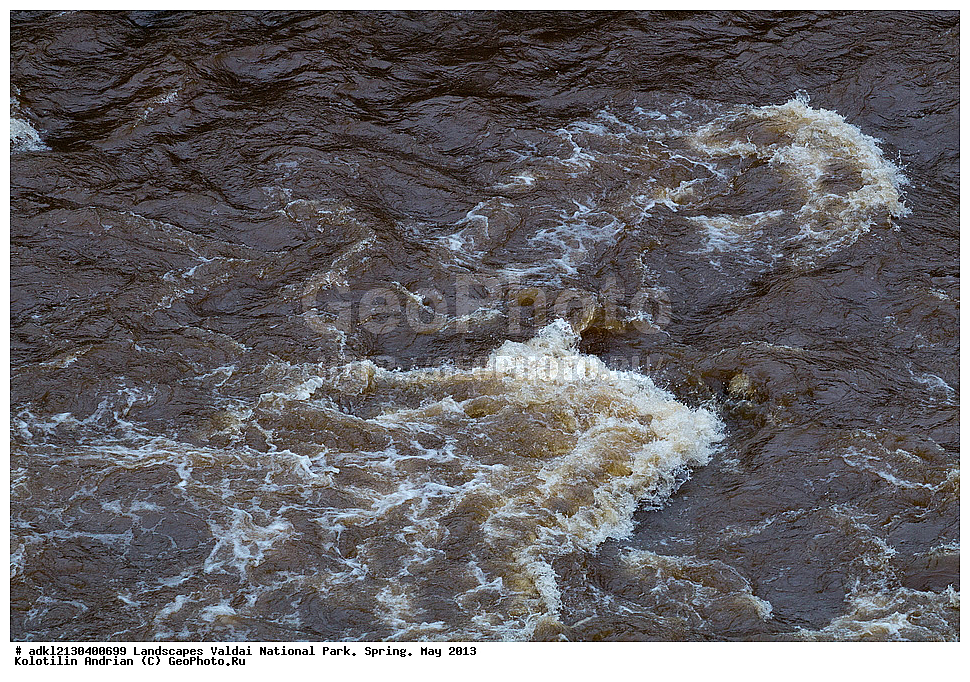 ��������, ������, ������������ ����, �����, ��� 2013