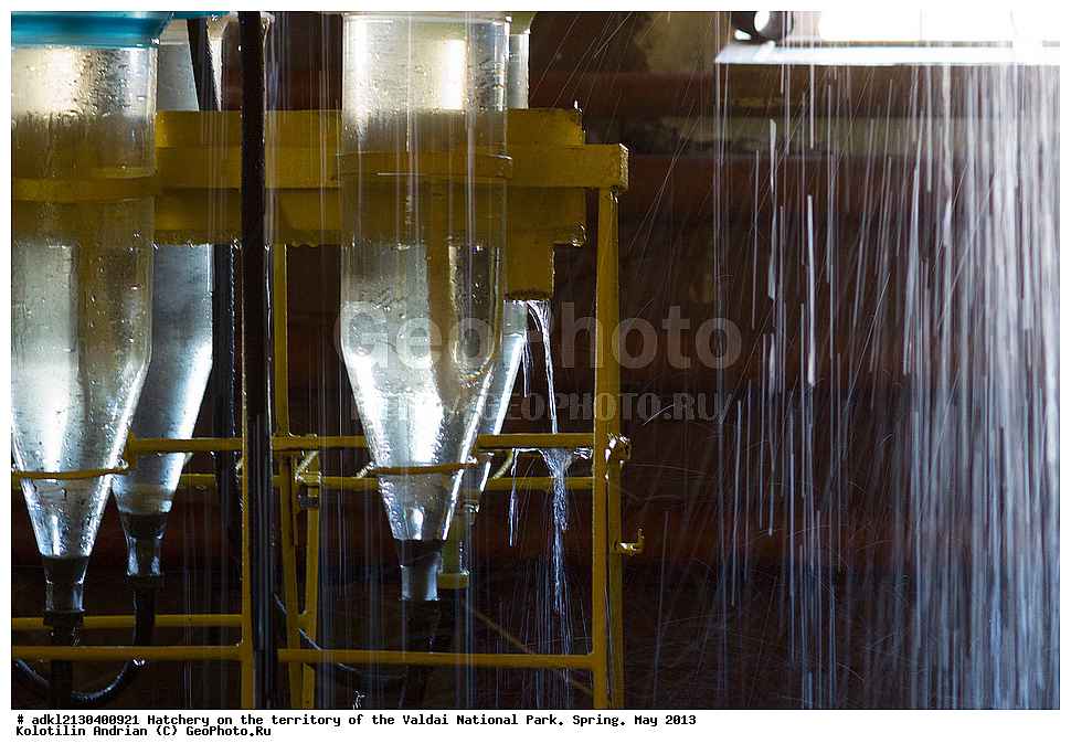 ����, ������������� �����, ������, ������������ ����, �����, ��� 2013