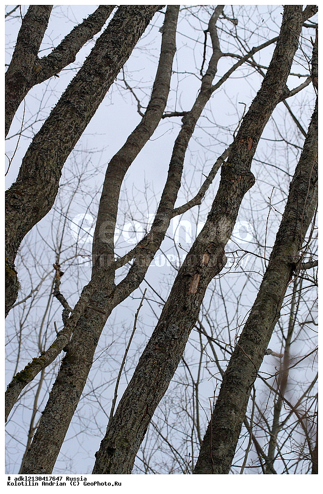 �������, ���������� ������������ ����, ������������ �������, ����� 2013