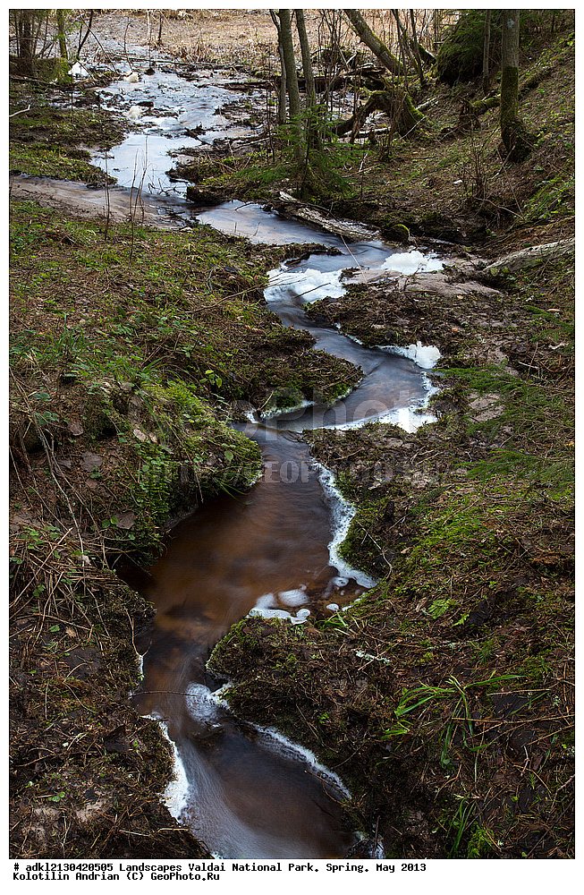 ��������, ������, ������������ ����, �����, ��� 2013