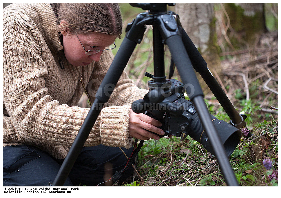 ���������� ������������ ����, ������������ �������, ����, ��������, ����