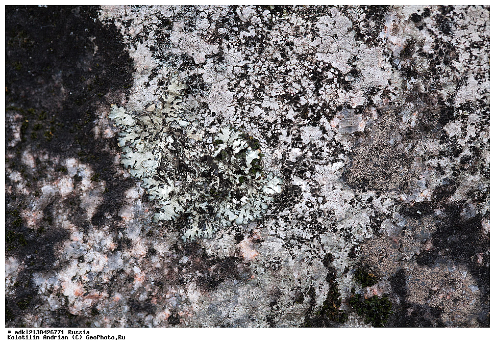 �������, ���������� ������������ ����, ������������ �������, ����� 2013