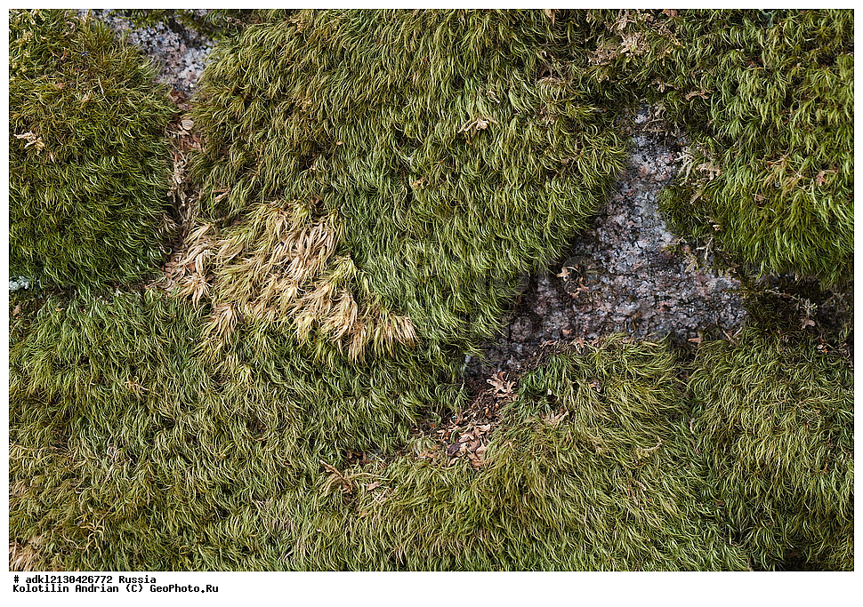 �������, ���������� ������������ ����, ������������ �������, ����� 2013