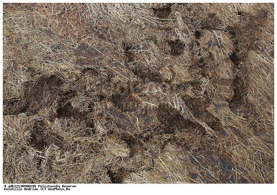 ��������, ��������, �������������, �������������, �����, �����, ������������ ����������, ����������, ��������� �������, ����������