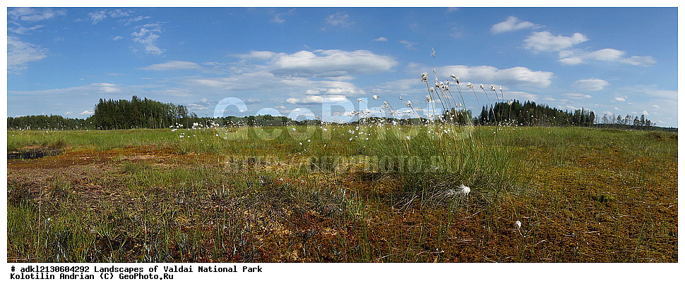 ���������� ������������ ����, ������������ �������, ����, ������ ����������, ������������, ��������, ������, �������