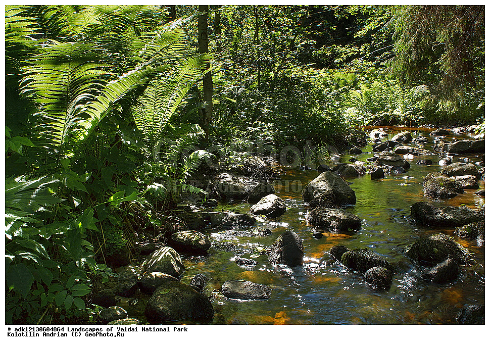 ���������� ������������ ����, ������������ �������, ����, ��������, ������