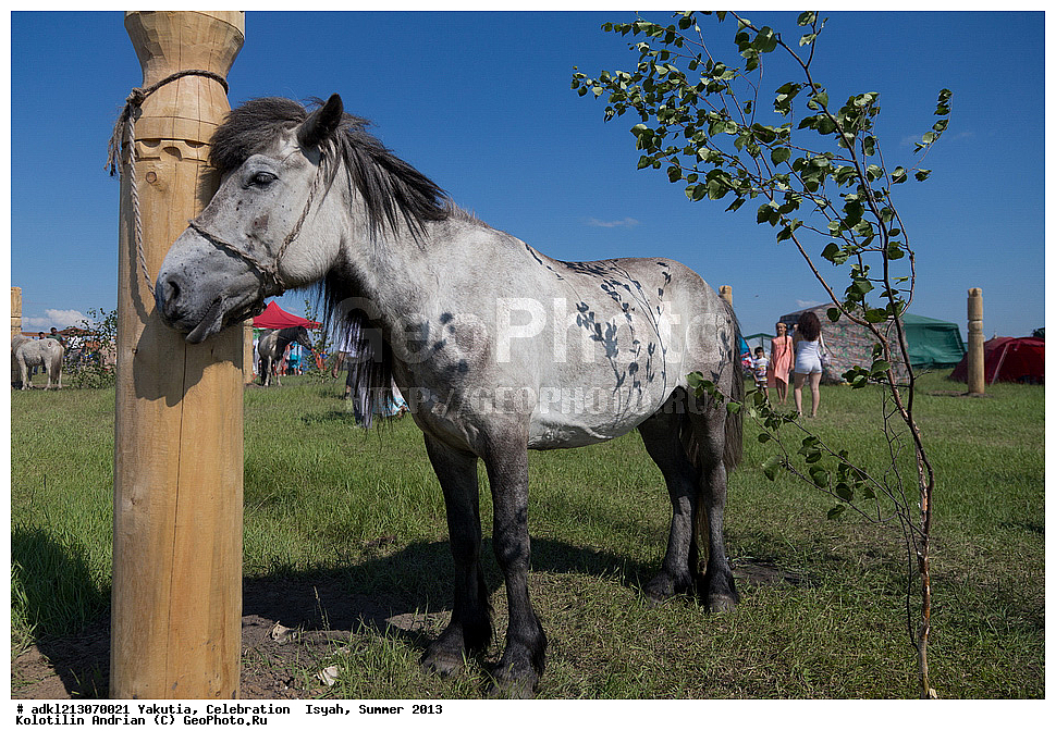 ������, ��������, �����, ���� 2013 