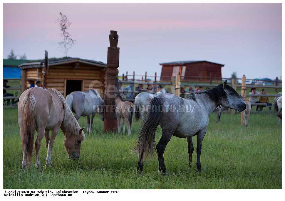 ������, ��������, �����, ���� 2013 