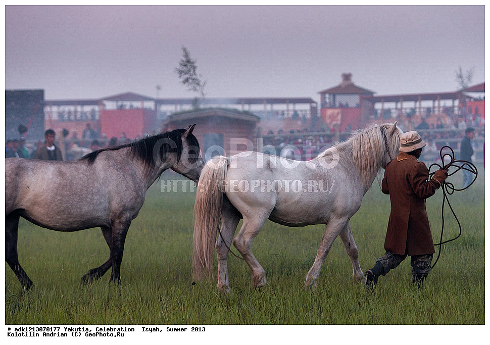 ������, ��������, �����, ���� 2013 