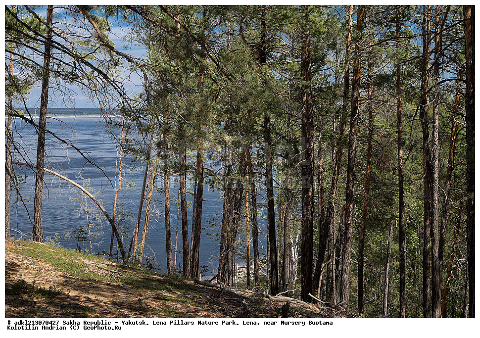 ����������, ����, ������, ��������� ����, ������� ������, ���� ����, �������, �����, ����