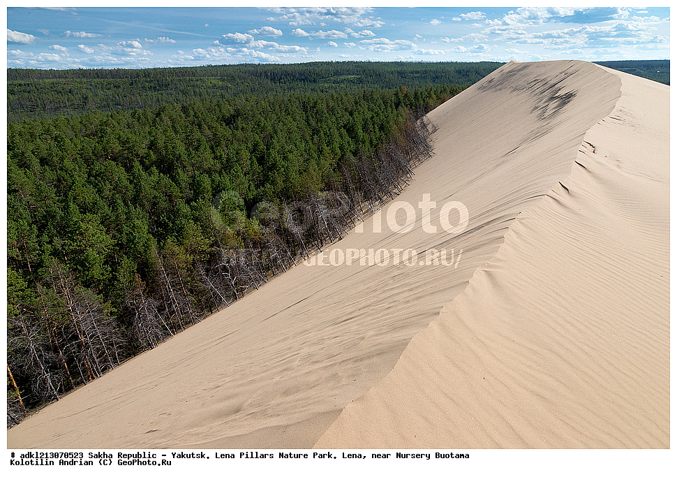 ����������, ����, ������, ��������� ����, ������� ������, ���� ����, �������, �����, ����