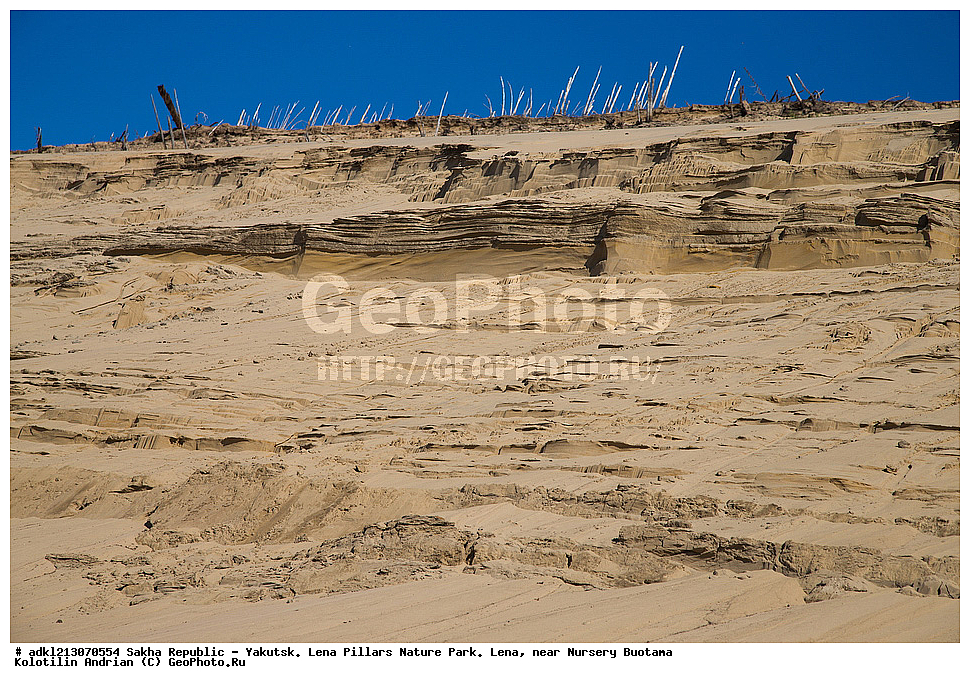 ����������, ����, ������, ��������� ����, ������� ������, ���� ����, �������, �����, ����