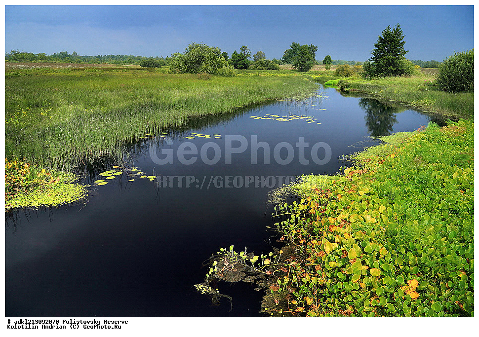 ������������ ����������, ����������, ��������� �������, ����������, ���������, ����