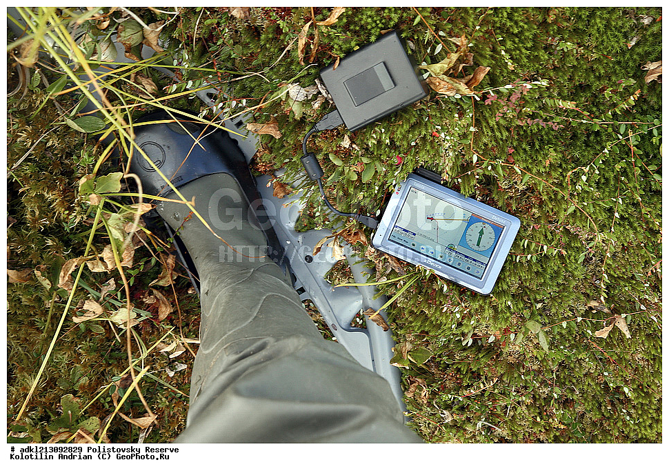 ������������ ����������, ����������, ��������� �������, ����������, ���� �������, ����� �����������, ����