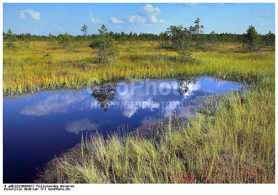 ������������ ����������, ����������, ��������� �������, ����������, ���� �������, ����� �����������, ����