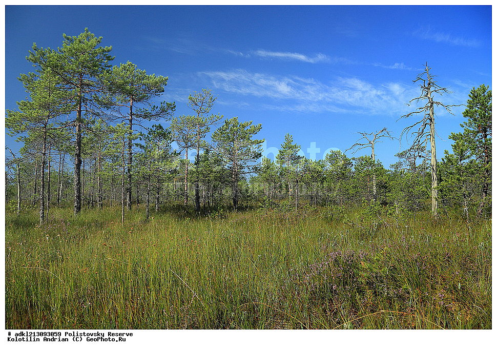 ������������ ����������, ����������, ��������� �������, ����������, �������� ��������, ��������, ����