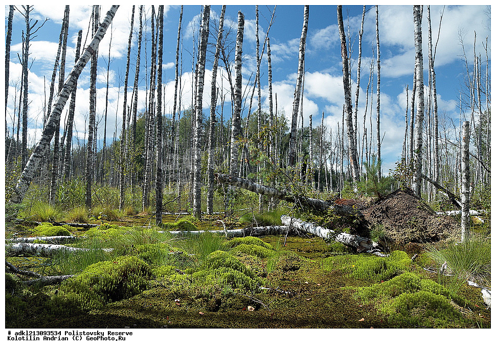 ������������ ����������, ����������, ��������� �������, ����������, �������� ��������, ��������, ����