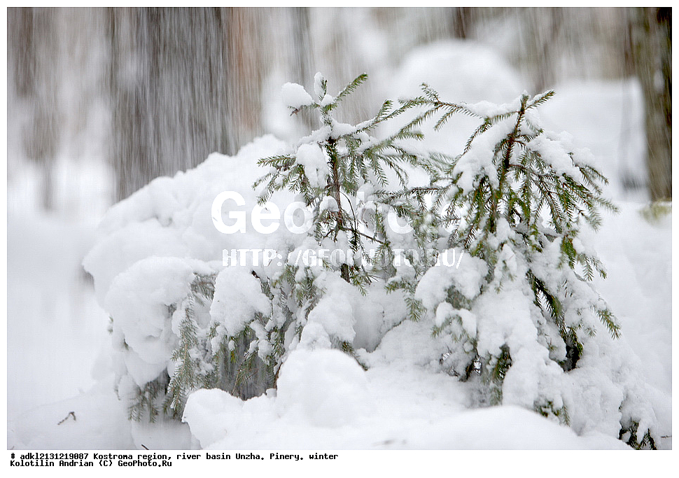 ����������� �������,  ����,  ������� ���� ����,   ���������� ������, ����, �����, ����������� ����������, ������������ ���