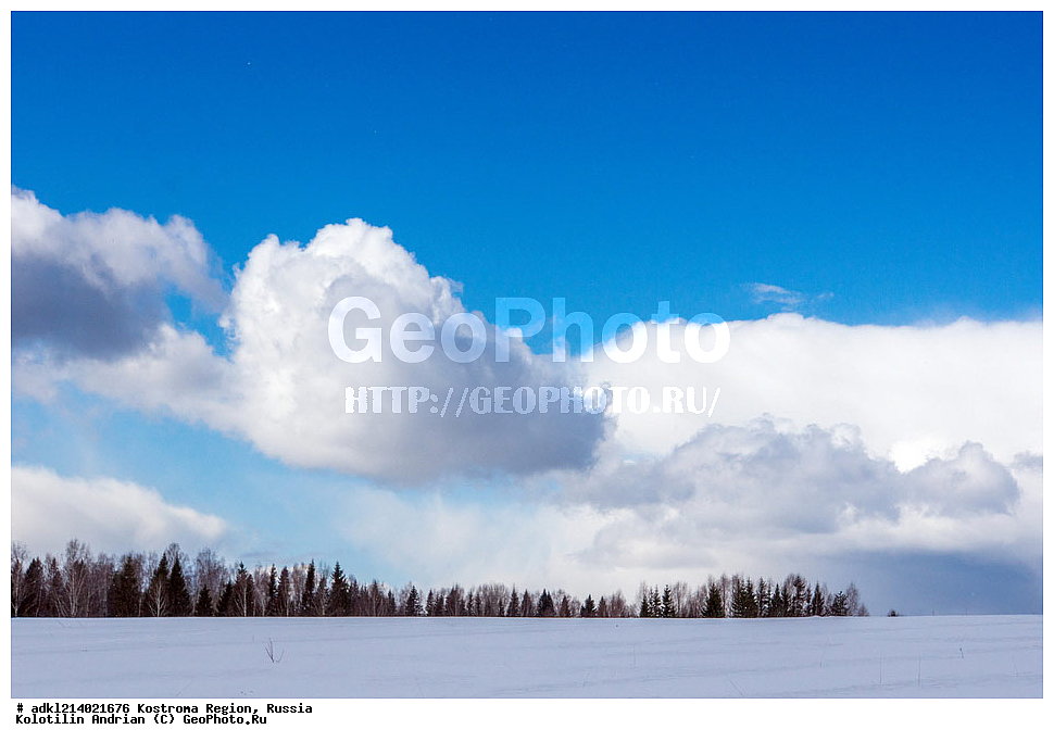 ����������� �������, ��������������� ��������� ���������� ������������ ���, ���������� ������������ ���, ������, ������� ������