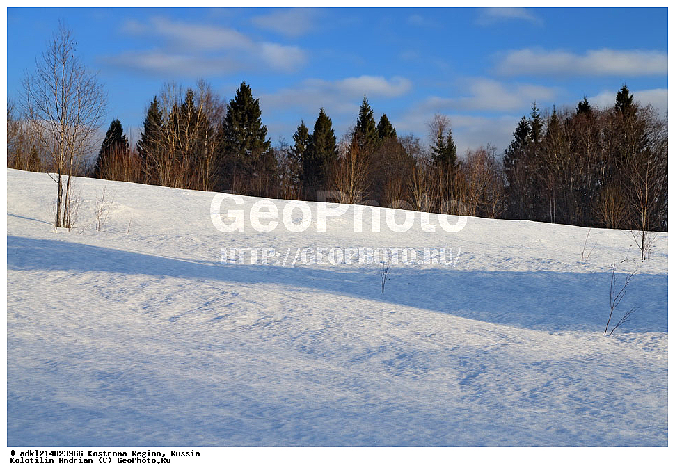 ����������� �������, ��������������� ��������� ���������� ������������ ���, ���������� ������������ ���, ������, ������� ������